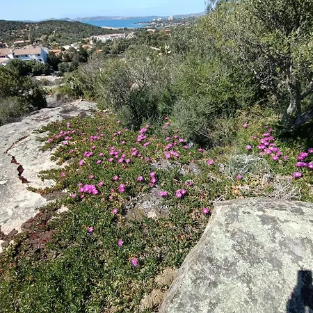 La Casa Vecchia Baja Sardinia