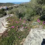 La Casa Vecchia Baja Sardinia