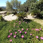 La Casa Vecchia Baja Sardinia * Cala Bitta