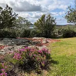 La Casa Vecchia Baja Sardinia Semesterbostad