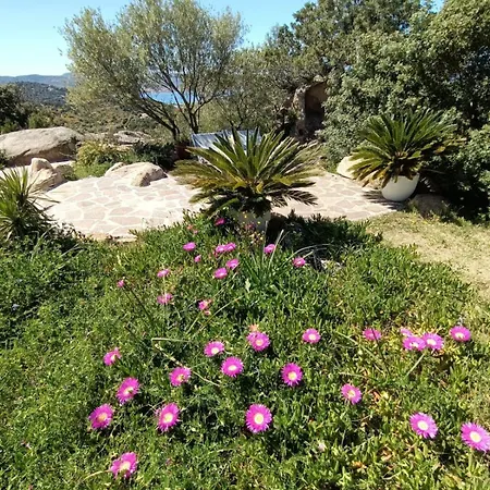 La Casa Vecchia Baja Sardinia * Cala Bitta