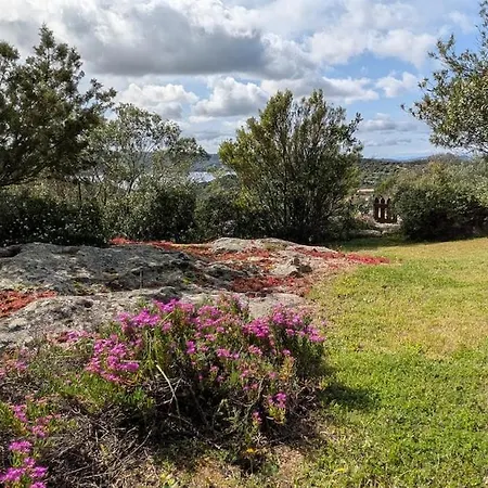 La Casa Vecchia Baja Sardinia Feriehus