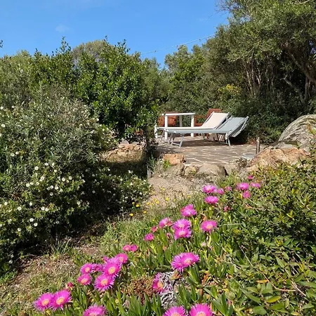 La Casa Vecchia Baja Sardinia *
