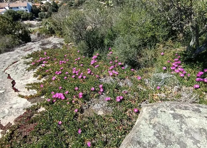 La Casa Vecchia Baja Sardinia
